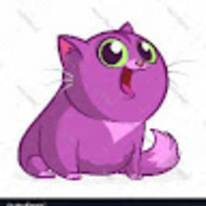 Meet your Posher, Kat